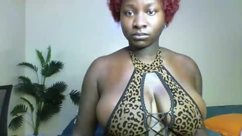 Amaya online show from April 28, 2:00 pm