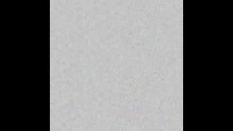 Wedito online show from December 17, 8:20 am