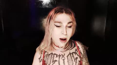 Snapshot of cybertrouble_ chatting on November 24, 11:26 pm Nikki online show from November 24, 11:26 pm