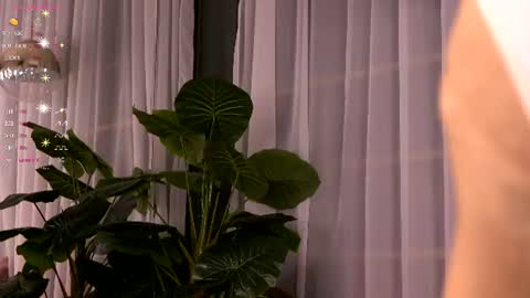 Ivy online show from July 3, 3:35 am
