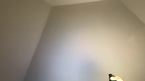 dachdecker7269 online show from February 9, 5:11 am