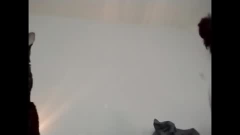 Snapshot of daddi_stick chatting on May 23, 8:35 pm daddi_stick online show from May 23, 8:35 pm