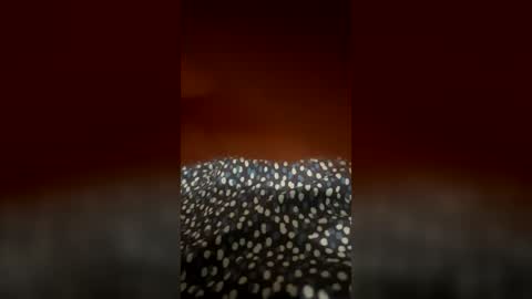 daddy55589 online show from July 31, 1:16 am