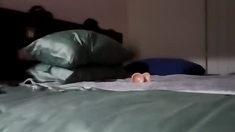 Kasey Xdresser online show from February 6, 4:54 pm