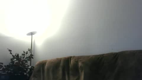 Snapshot of daddydave6400 chatting on May 18, 3:46 am daddydave6400 online show from May 18, 3:46 am