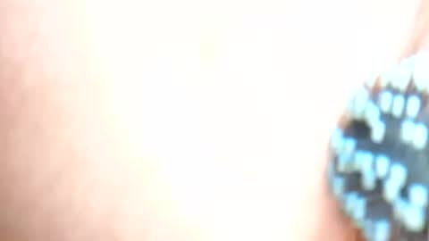 Snapshot of daddydigbick87 chatting on October 29, 8:16 am daddydigbick87 online show from October 29, 8:16 am