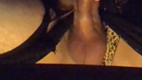 Snapshot of daddypervbuttprincess chatting on September 13, 2:50 pm daddypervbuttprincess online show from September 13, 2:50 pm