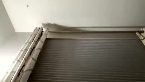 Snapshot of daddyweis chatting on September 16, 2:23 am daddyweis online show from September 16, 2:23 am