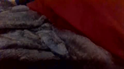 daddywhite88 online show from January 14, 12:38 am