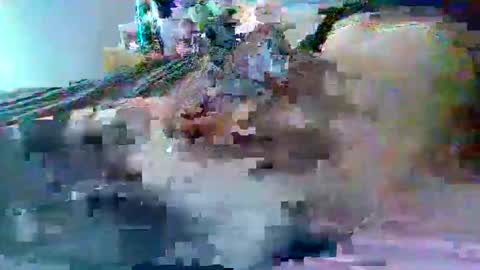 dafo1980 online show from February 22, 2:59 pm