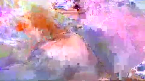 dafo1980 online show from April 20, 12:19 pm