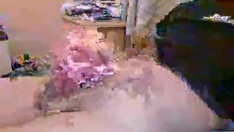 dafo1980 online show from April 23, 10:14 am