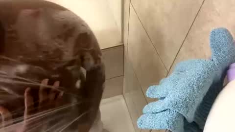 Snapshot of dafoxxx876 chatting on November 24, 8:03 am dafoxxx876 online show from November 24, 8:03 am