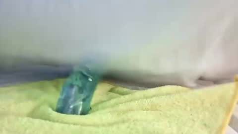 daileyrobert15 online show from May 2, 7:41 pm