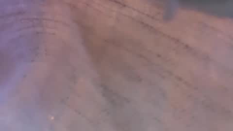 Daisy137 online show from March 8, 6:44 pm