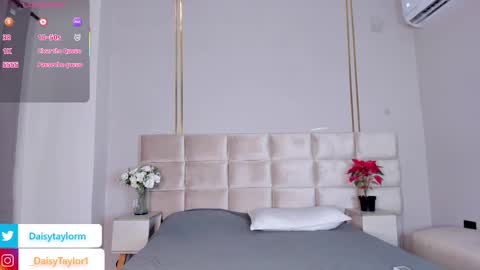 Daisy online show from November 29, 12:41 pm