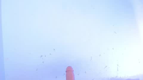 VALENTINA  online show from October 10, 7:51 am