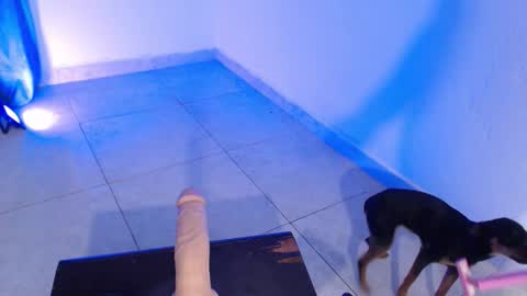 VALENTINA  online show from November 16, 7:41 pm