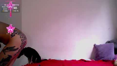 Snapshot of dakota_and_aron chatting on December 5, 7:06 pm Dakota and Aron online show from December 5, 7:06 pm