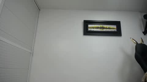 dalia dubey online show from February 17, 4:15 pm