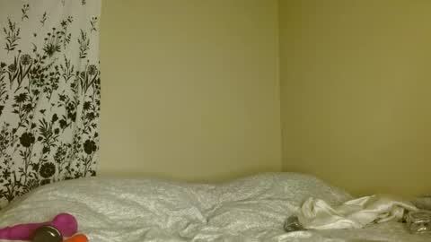 Nova online show from April 8, 7:41 am