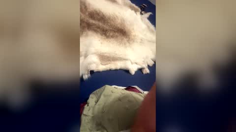 Snapshot of damontsi chatting on March 22, 9:34 am damontsi online show from March 22, 9:34 am