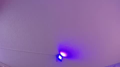 Snapshot of danee_19 chatting on March 11, 10:51 am Daniela online show from March 11, 10:51 am