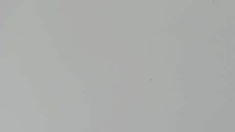 daniel_kingxxx online show from March 2, 12:34 pm