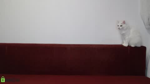 Snapshot of daniel_padalecki chatting on November 17, 6:24 pm Daniel online show from November 17, 6:24 pm