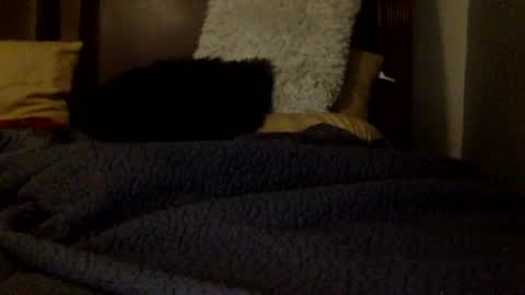 daniellbisous online show from July 1, 5:31 am
