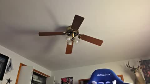 Snapshot of danielp_mod_cb chatting on October 22, 11:15 pm Daniel y. online show from October 22, 11:15 pm