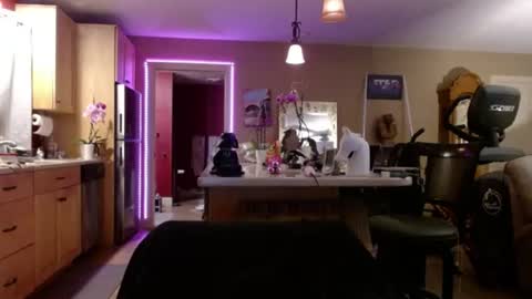DanikaWhite69 online show from July 9, 12:31 pm