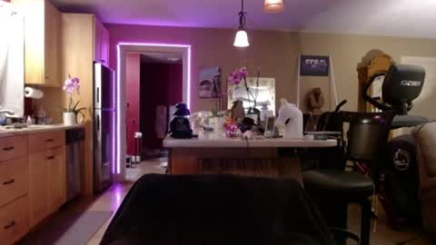 DanikaWhite69 online show from July 17, 12:01 pm
