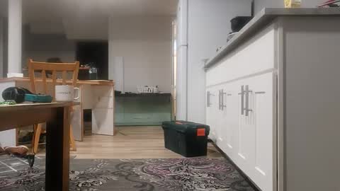 Snapshot of danimal5000 chatting on November 18, 4:00 pm danimal5000 online show from November 18, 4:00 pm