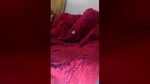 dandeb online show from June 3, 10:51 am