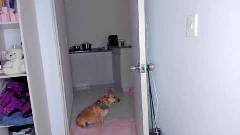 Snapshot of danna_rhodesx chatting on November 30, 6:17 am Danna Rhodes online show from November 30, 6:17 am