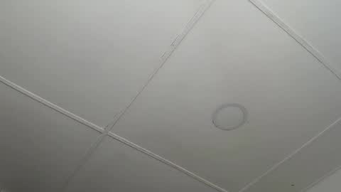 dannaberlin_0 online show from February 12, 12:22 pm