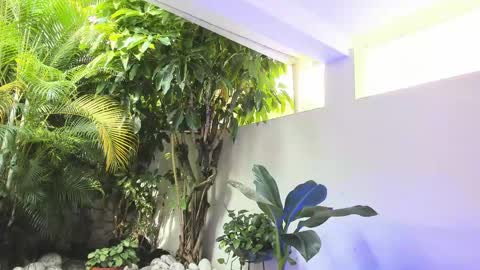 Dannamunoz130 online show from May 31, 1:29 pm