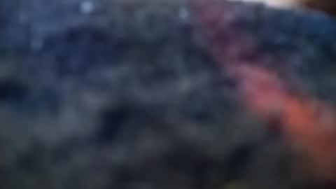 dannowisc online show from February 20, 4:09 am