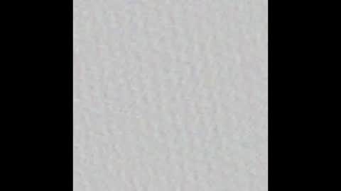 Dannyaa online show from September 19, 11:55 am