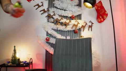 SEBAS online show from November 26, 2:12 am