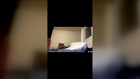 Exhibit A online show from February 22, 11:20 am