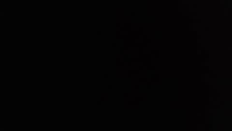 dav online show from February 27, 11:20 am