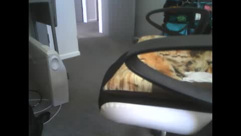 Dazzle68 online show from March 14, 10:48 pm