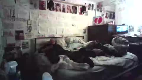 dbeamon92 online show from February 7, 12:25 am