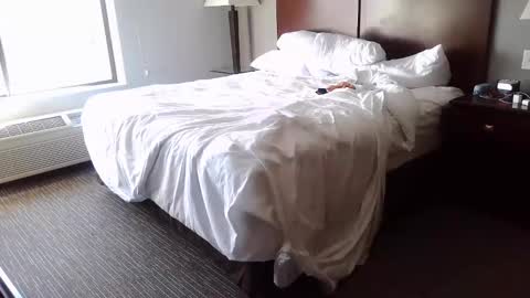 DCrush online show from December 8, 4:50 pm