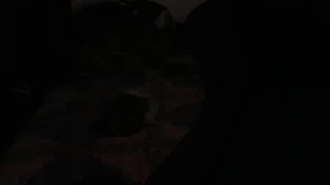 Snapshot of ddc444 chatting on November 23, 2:22 am DC online show from November 23, 2:22 am