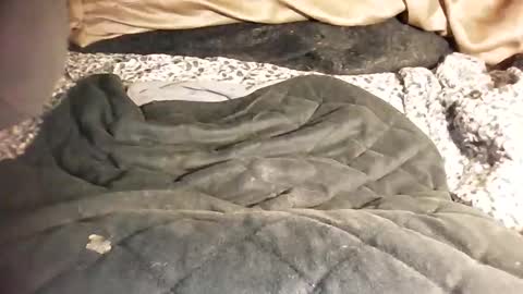 ddick0303 online show from March 6, 12:01 pm