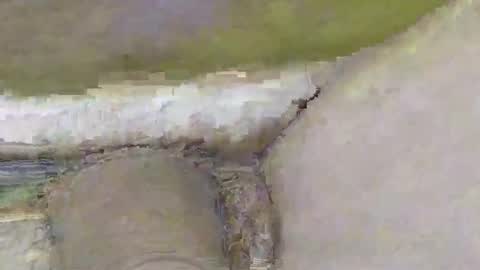 Snapshot of deepdiver3366 chatting on November 2, 2:08 pm Dive Deep online show from November 2, 2:08 pm