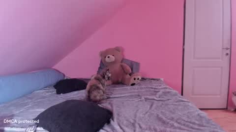 Snapshot of deessert chatting on February 16, 2:53 am Deessert online show from February 16, 2:53 am